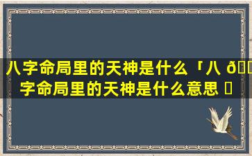 八字命局里的天神是什么「八 🍁 字命局里的天神是什么意思 ☘ 」